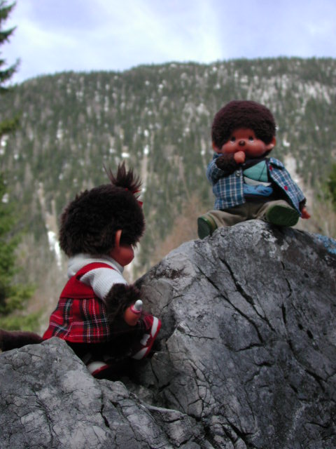 montain climbing in the alps
