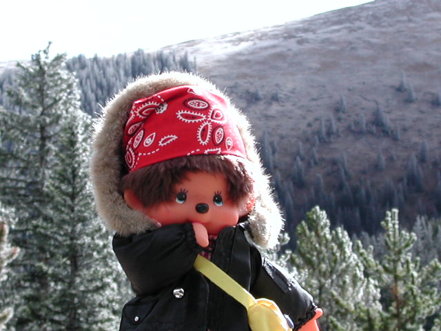 Monchhichi in Colorado USA 2004